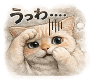 811553258