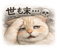 811553260