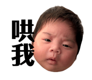811554961