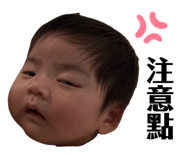 811554978