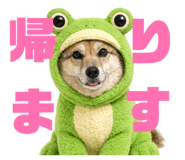 811555985