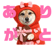 811555991