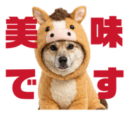 811555994