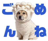 811555996