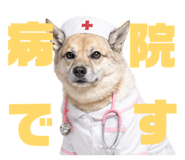811555997