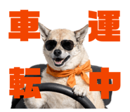 811556000