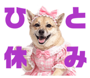 811556001