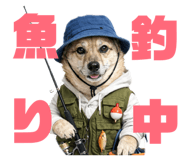 811556003