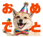 811556004