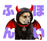 811556005