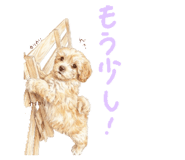 811572475