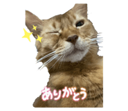 811583275