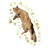 811583282