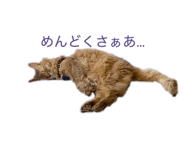 811583302