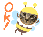 811584423