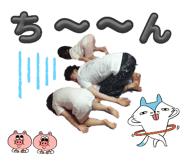811585207