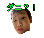811586465