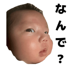 811586772