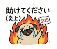 811629852