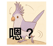 811633255