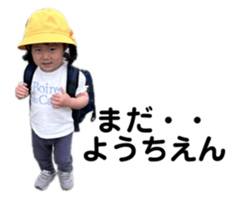 811636131