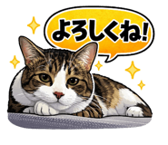 811637762