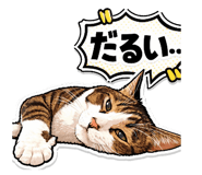 811637767