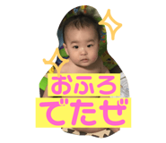 81166223