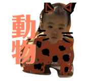 81166224