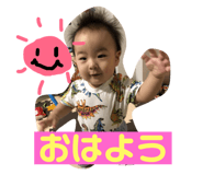 81166226