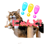 811670989