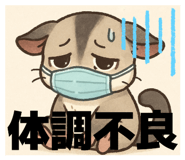 811672985