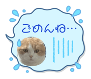 811684801