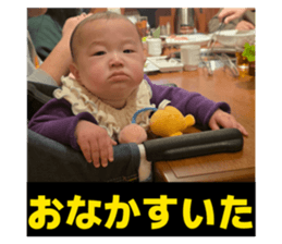 811687098