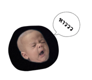 811688091