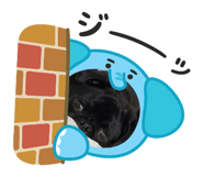 811688730