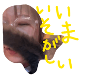 811690434