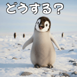 811693020