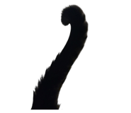 811704191