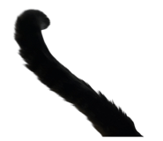 811704192