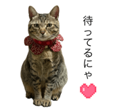 811721932