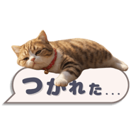 811737442