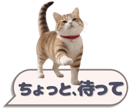 811737445