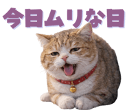 811737462