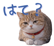 811737464