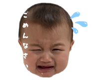 811742944