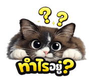 811761182