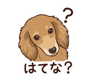 811765775