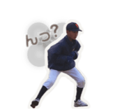 811779290