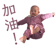 811788496